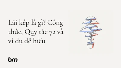 Minh họa cho Lãi kép là gì? Công thức, Quy tắc 72 và ví dụ dễ hiểu: Một hạt vốn nhỏ trong chiếc chậu tối giản mọc thành cây với các tầng tán ngày càng rộng, gợi sự tăng trưởng tích lũy theo thời gian.
